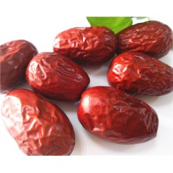 低價(jià)格批發(fā)優(yōu)質(zhì)新疆紅棗廠家直銷